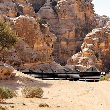 Hotel Ammarin Bedouin Camp à Wadi Musa Extérieur photo