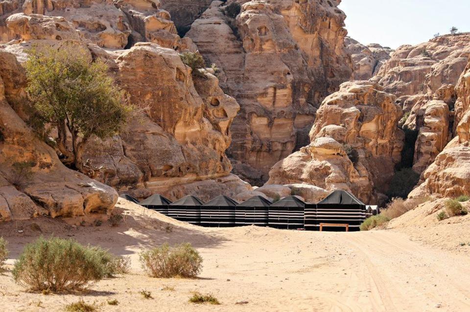 Hotel Ammarin Bedouin Camp à Wadi Musa Extérieur photo