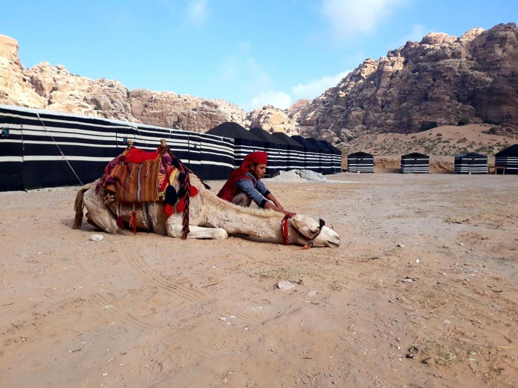 Hotel Ammarin Bedouin Camp à Wadi Musa Extérieur photo