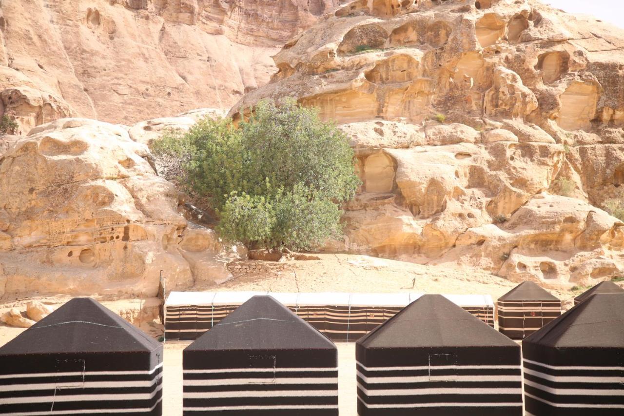 Hotel Ammarin Bedouin Camp à Wadi Musa Extérieur photo